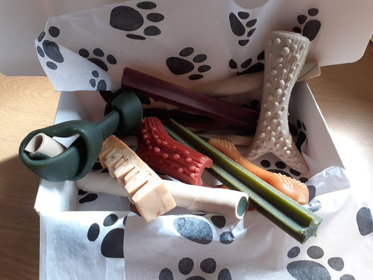 Doggie Fruit & Veggie Treat Box